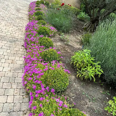 Verdon En Provence - Vue Sur Le D'esparron Sur Verdon بيت للعطل